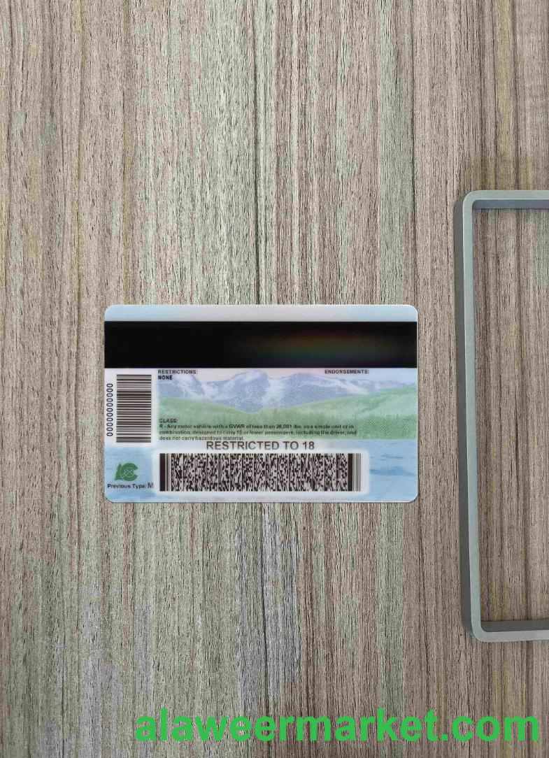 USA Colorado driving license 2022-present photolook BACK